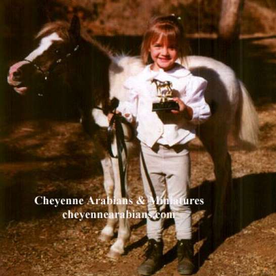 Cheyenne Arabians pony rides & Petting Zoo Ranch