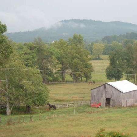 Bilbrey Farms