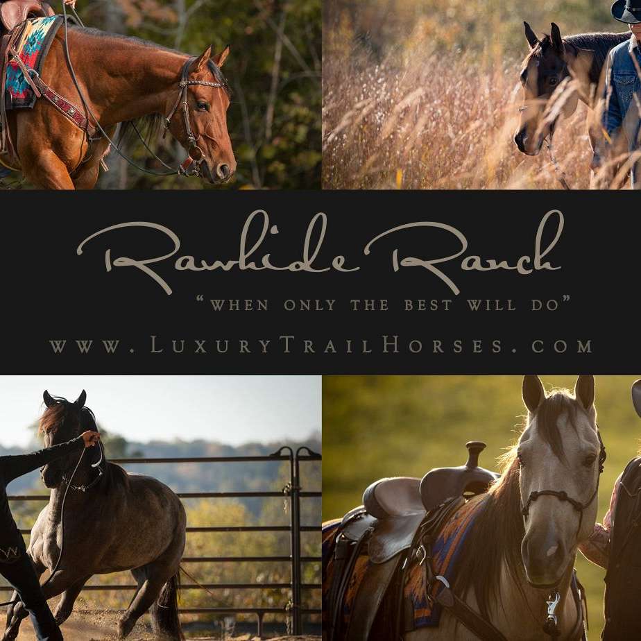 Rawhide Ranch Luxury Trail Horses