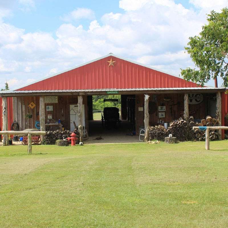 4D Foxtrotter Farm