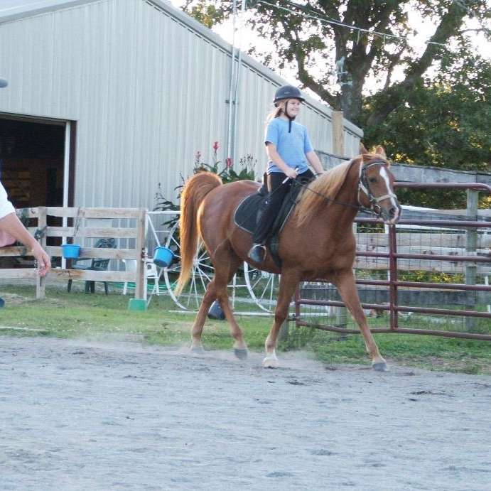 Echo Valley Arabians