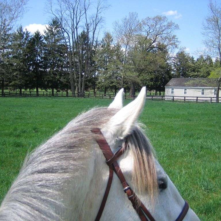 Dellersbeck Farm