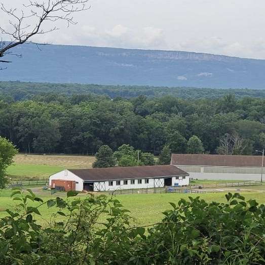 Ridgeview Stables Sales Barn