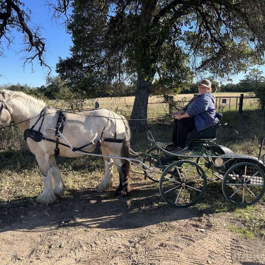 My Broken Heart Ranch
