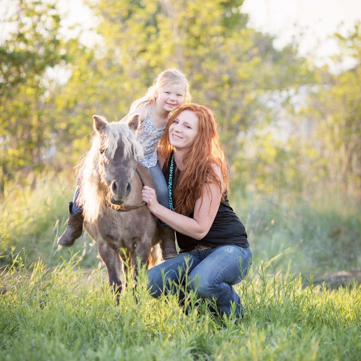 Uinta Sport Horses