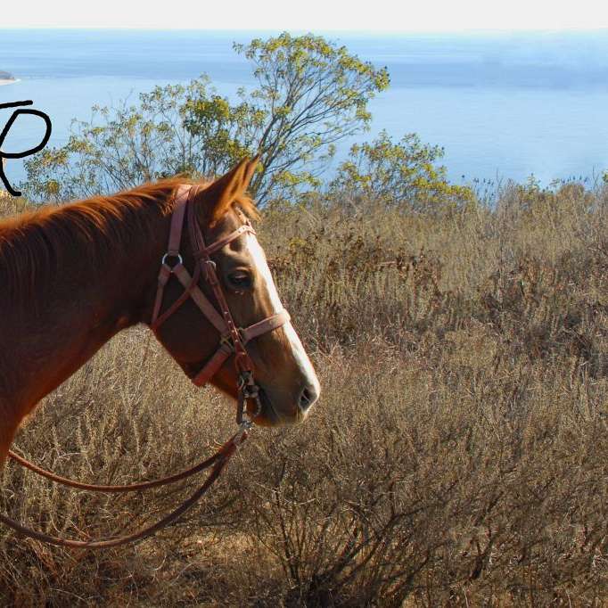 Fahnestock Ranch