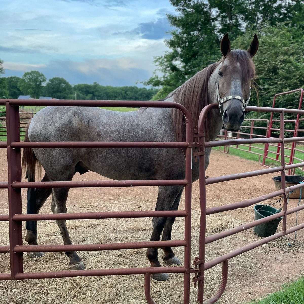 Short Creek Farm