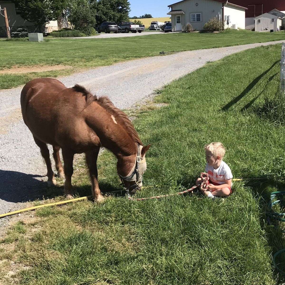 Top Line Stables, LLC
