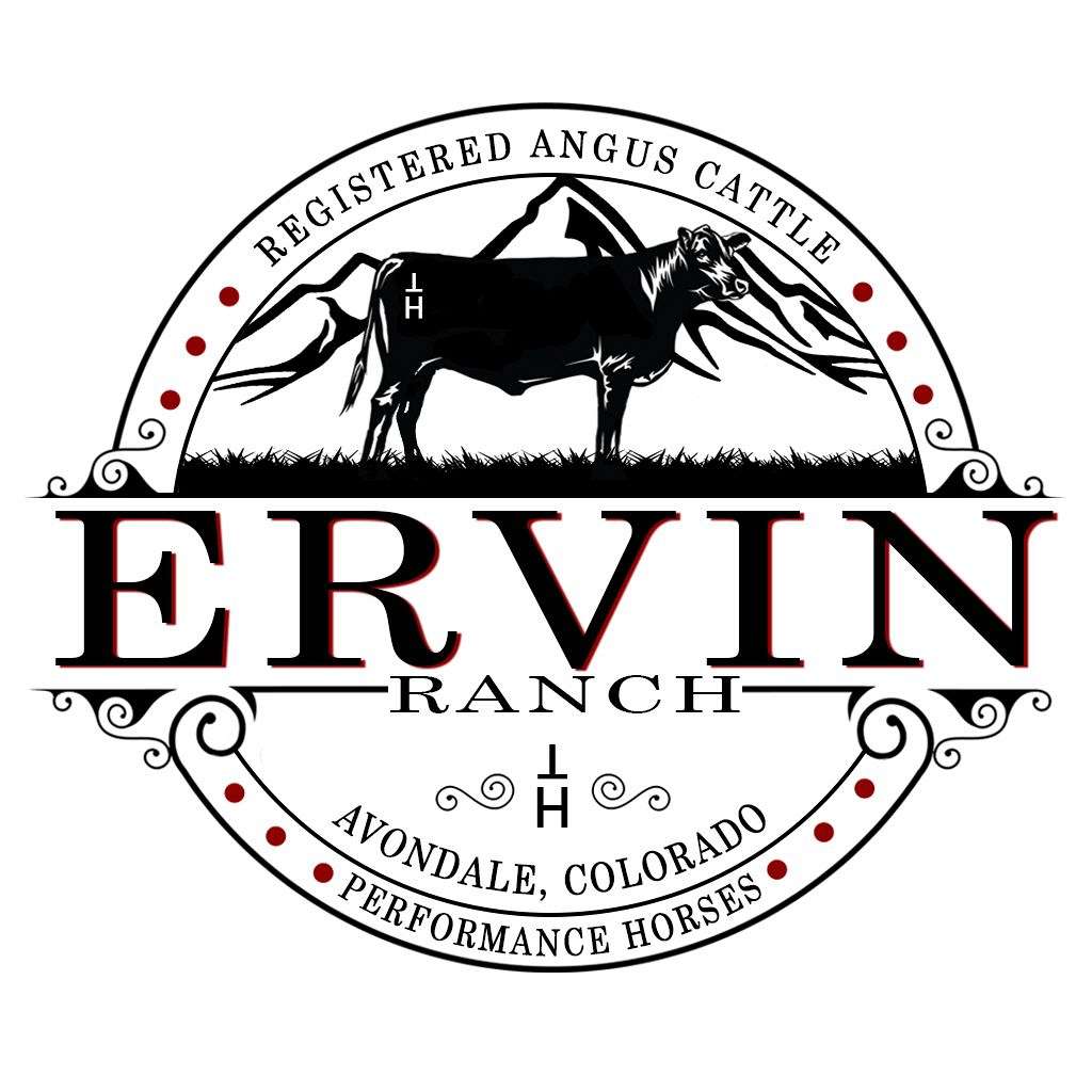 ERVIN RANCH LLC 