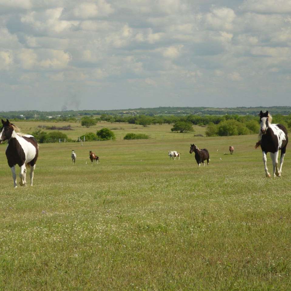 Fender Ranch