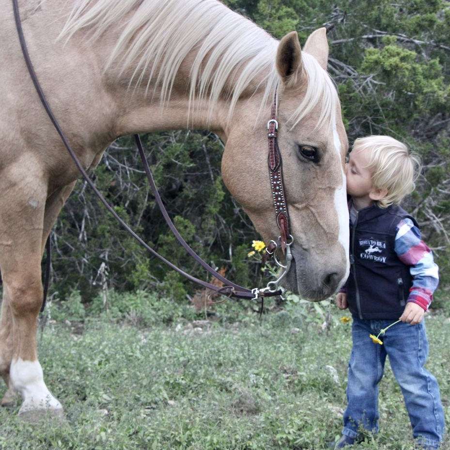 Gehring Performance Horses