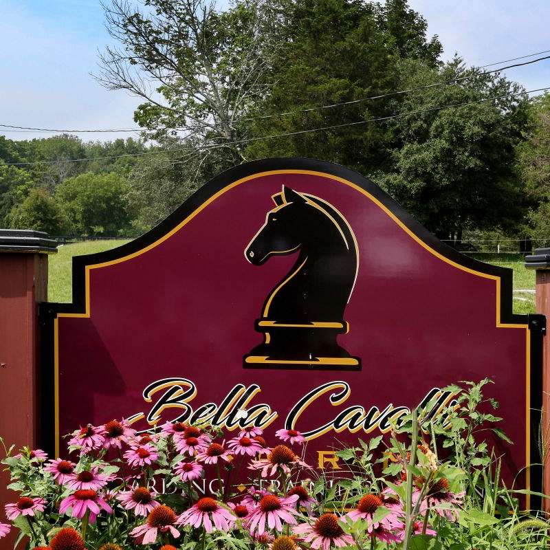 Bella Cavalli Farm LLC