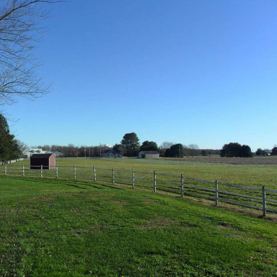 Full Care Horse Boarding Montrose Stables