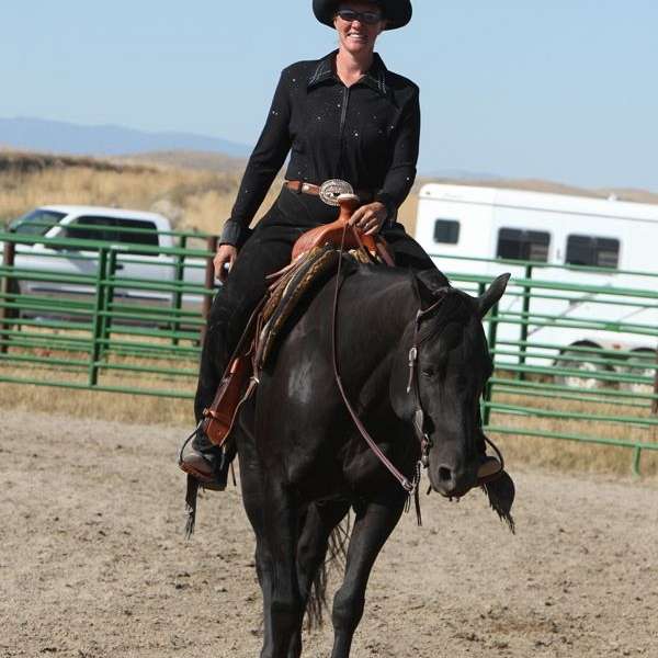 Onwards Equine