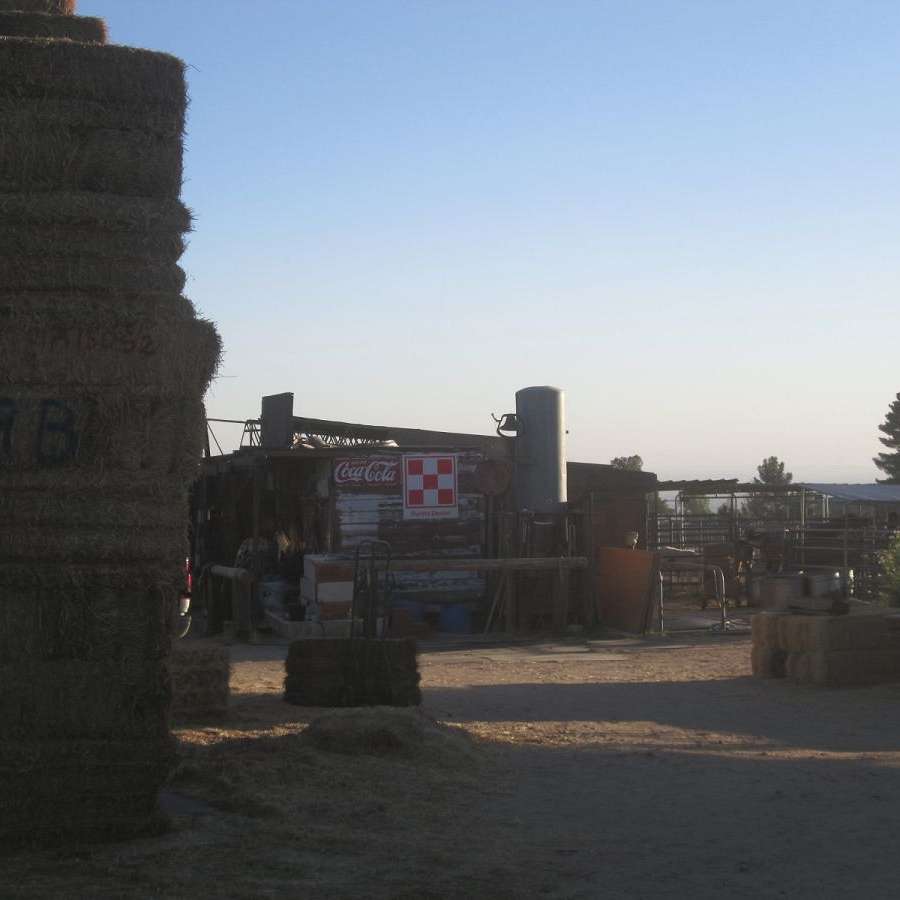 desertspringsranch
