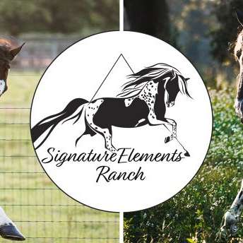 Signature Elements Ranch