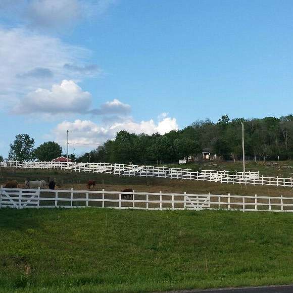 Cedar Stone Ranch