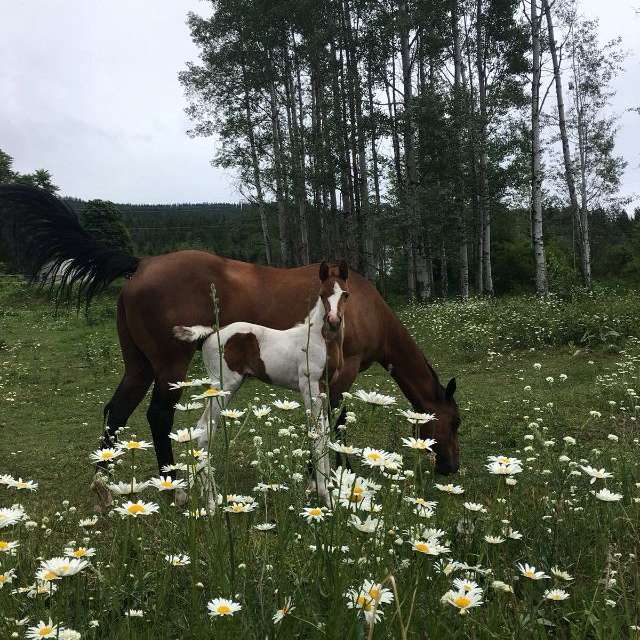 Blind Blessings EQ Centre