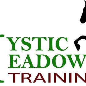 Mystic Meadows Training, LLC