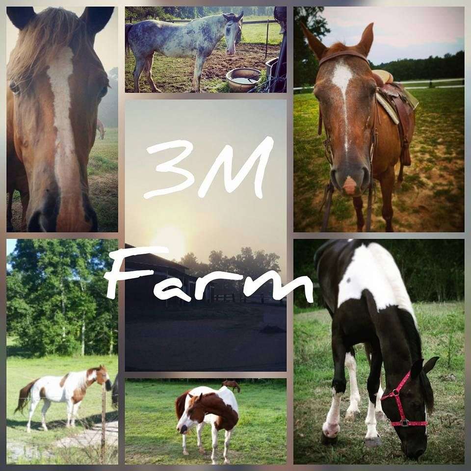 3 M Farm