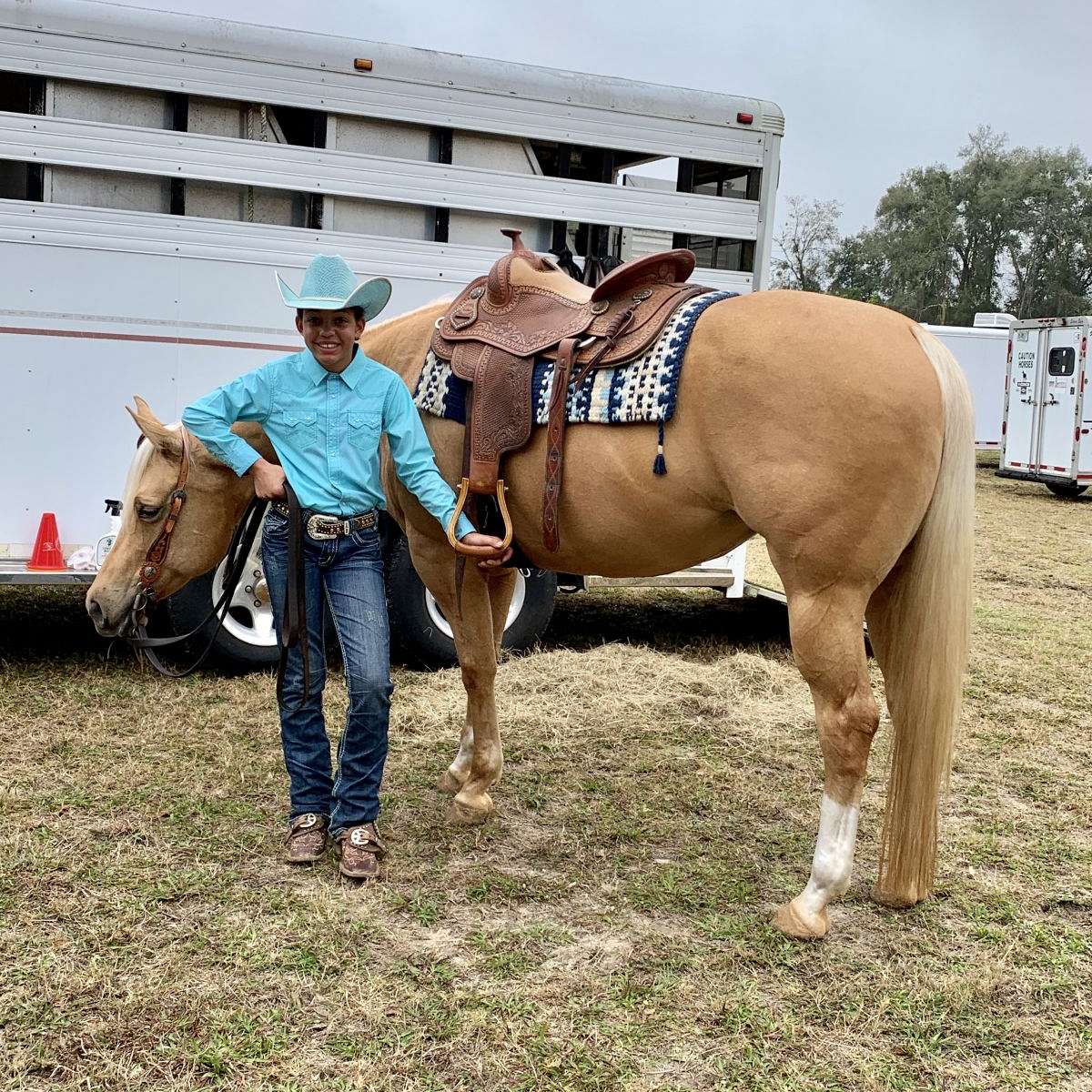 Broken Branch Paints and Quarter Horses