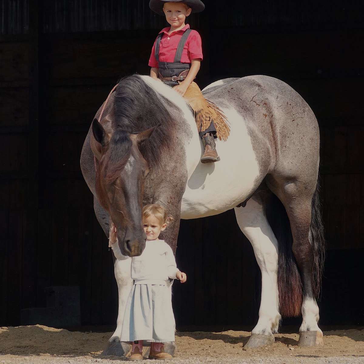 Buckeyeacre Farm