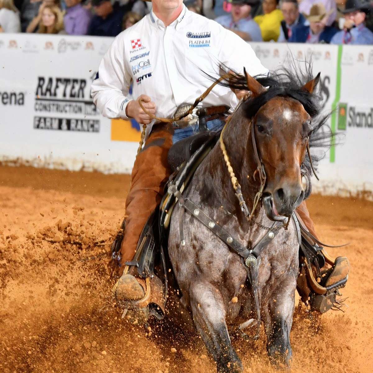 Porter Quarter Horses