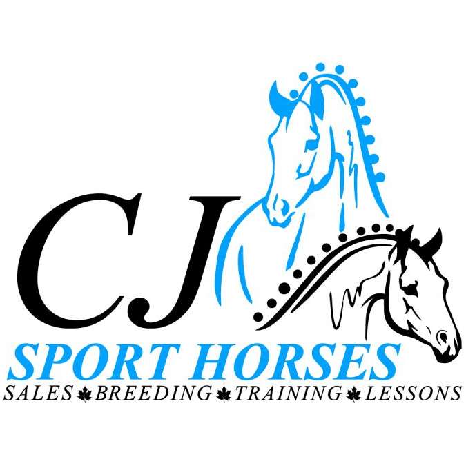 CJ Sport Horses