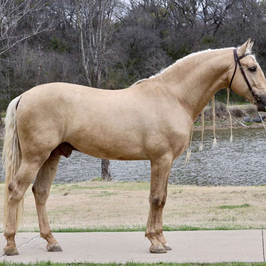 Rancho Juarez LLC