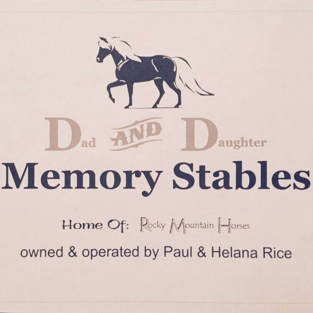 D and D Memory Stables