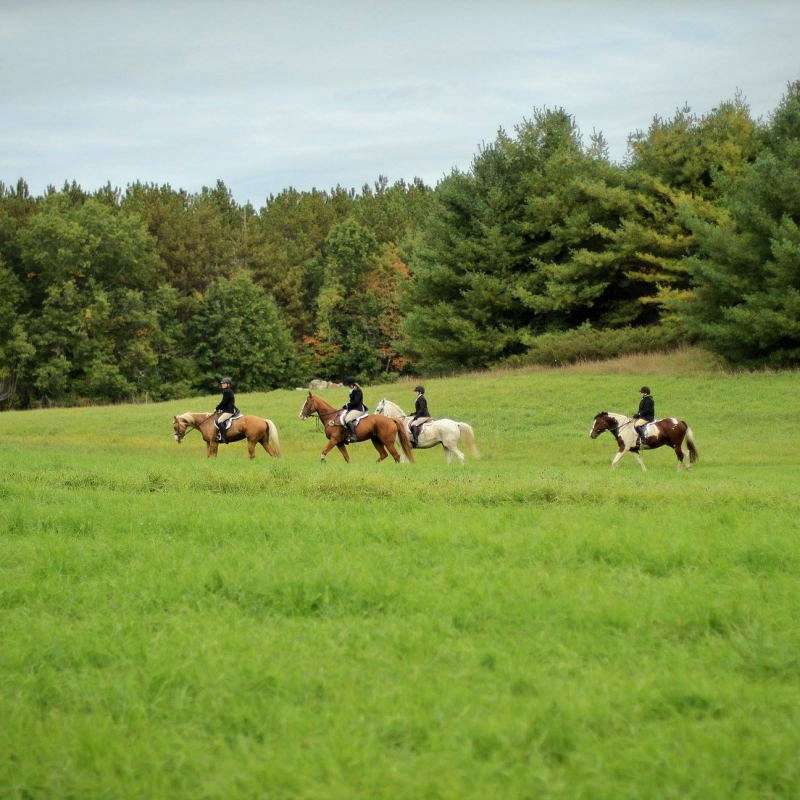 Gunstock Hill Farm