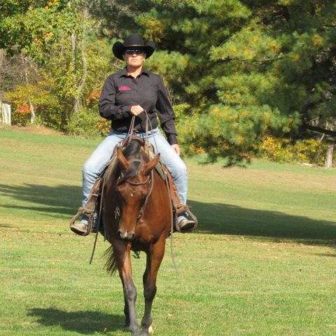 Star Horsemanship