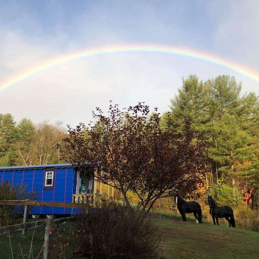 Vermont Gypsy Horses