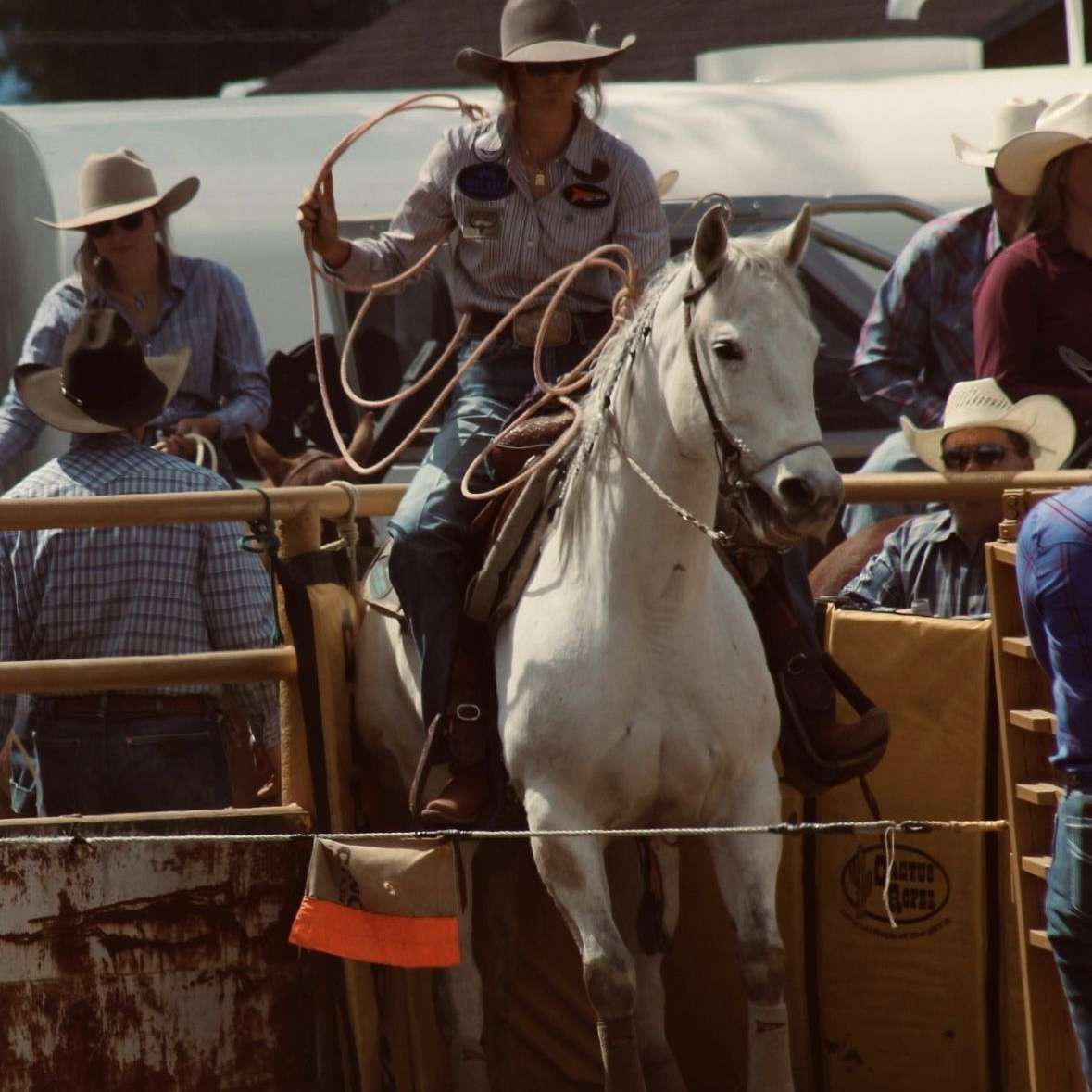 Whitlee Burgess Performance Horses 