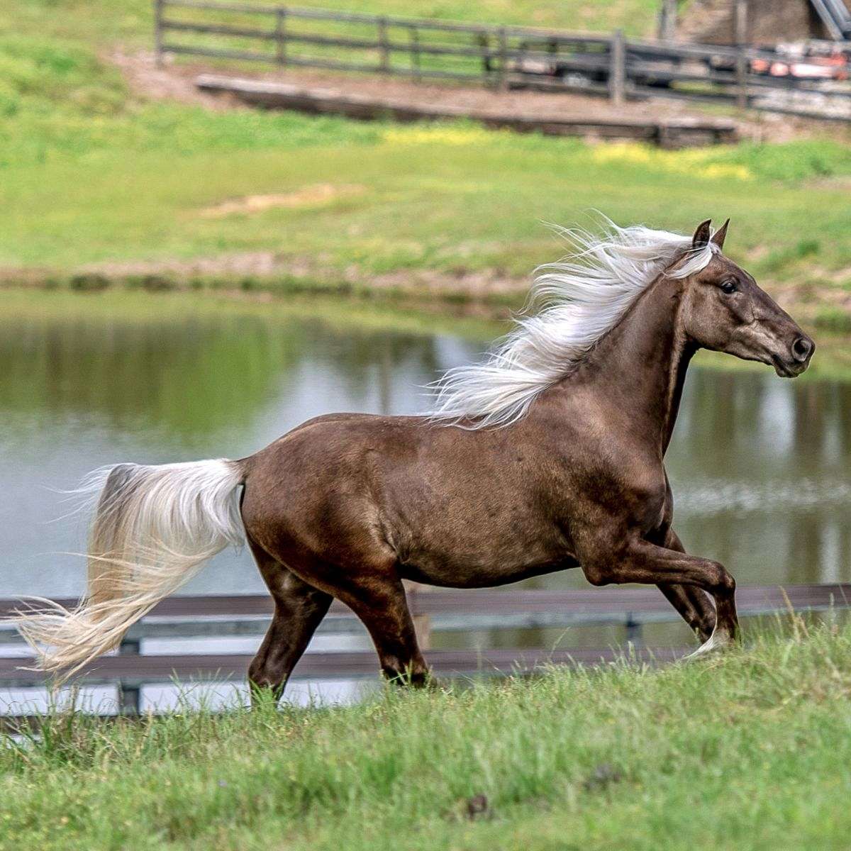 Rocky Ridge Ranch