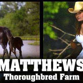 Matthews' Thoroughbred Farm