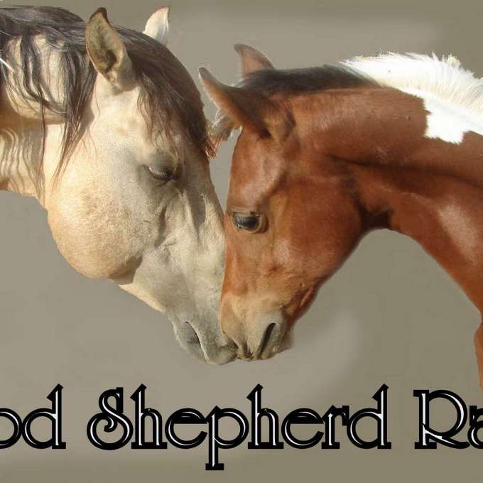 GOOD SHEPHERD RANCH