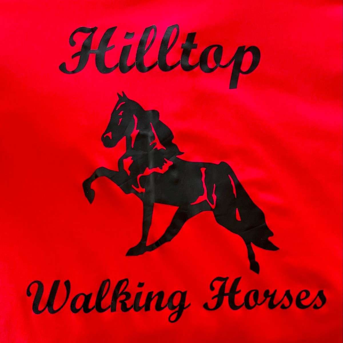 Hilltop Farm Walking Horses