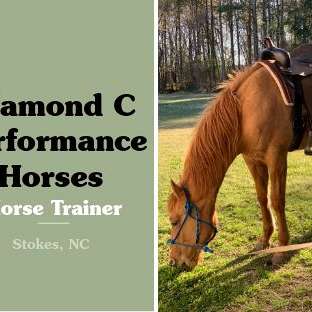 Diamond C Performance Horses
