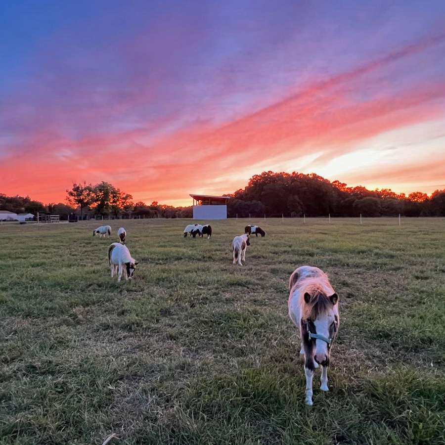 Fontana Farm