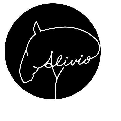 Alivio LLC & Infinitely Equine LLC