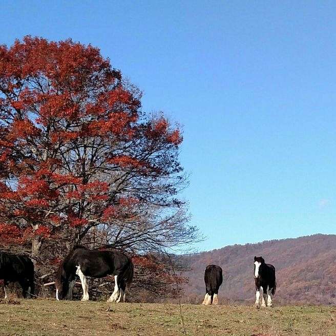 Cross Creek Farm LLC