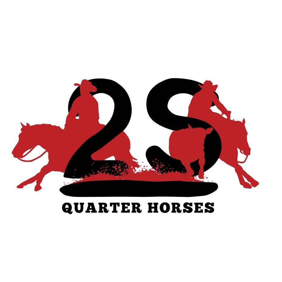 2S Over Bar Quarter Horses