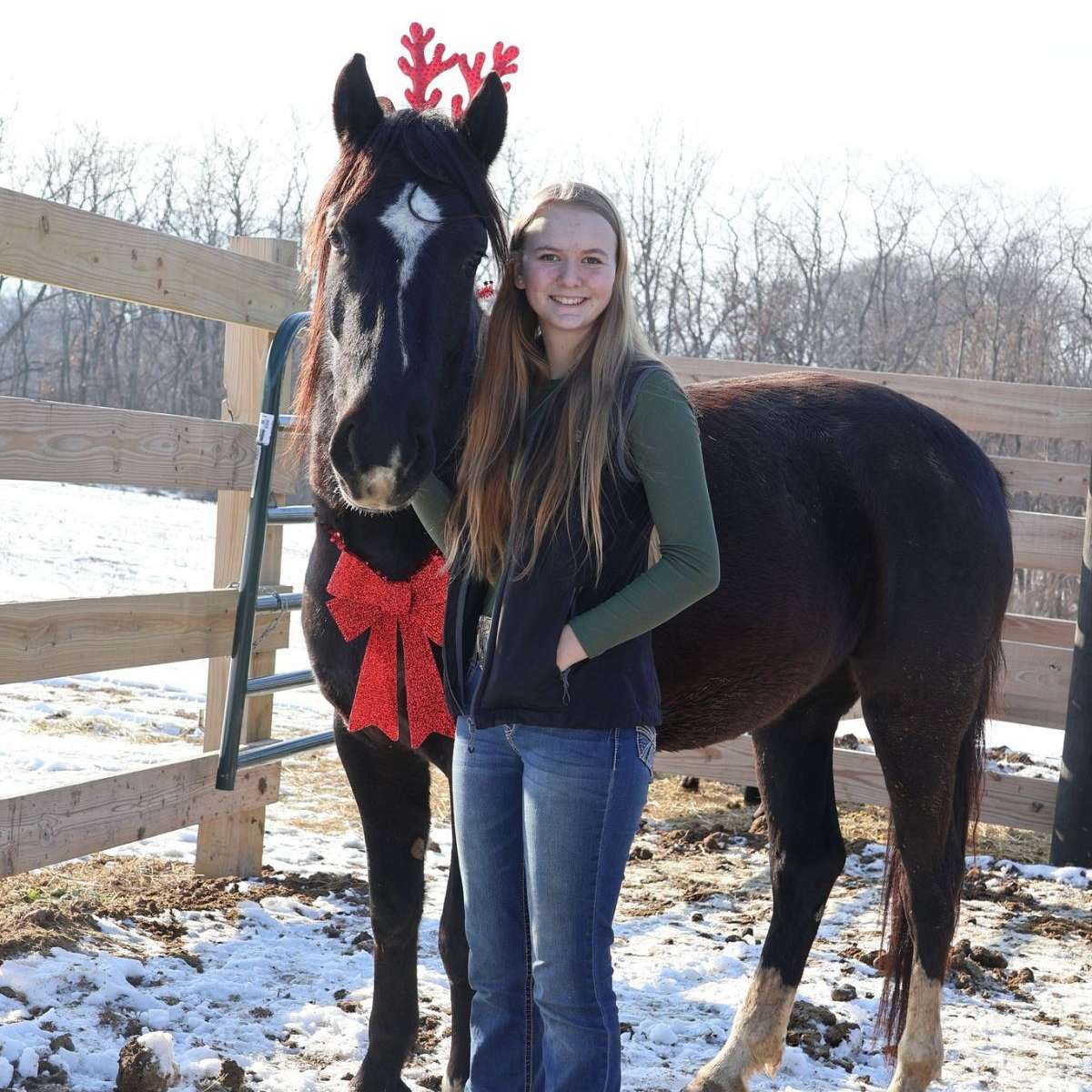 AP Horsemanship