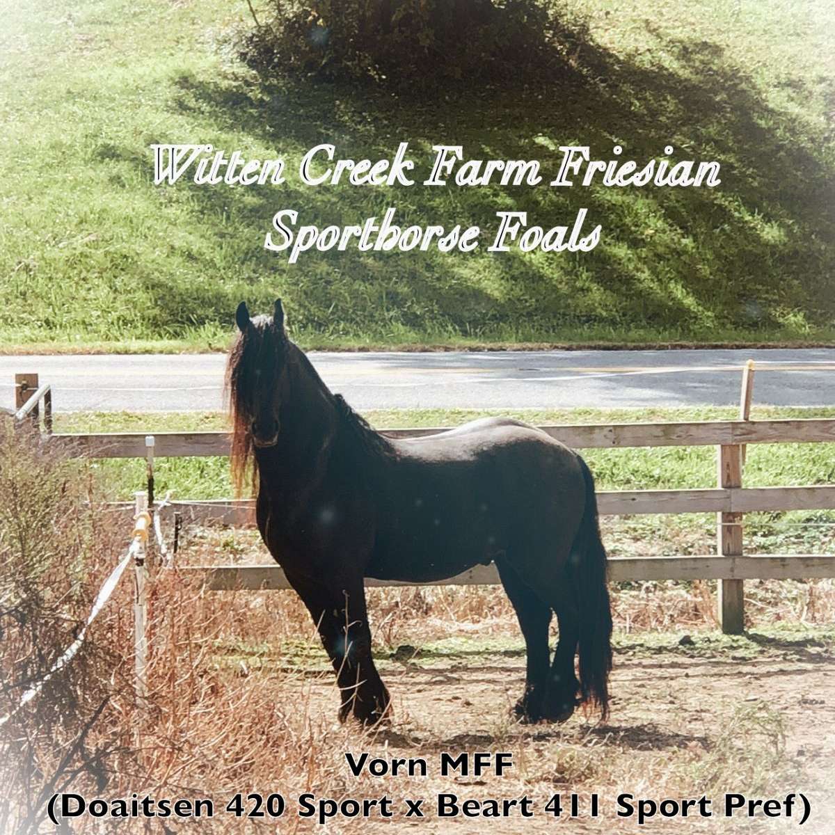 Witten Creek Farm