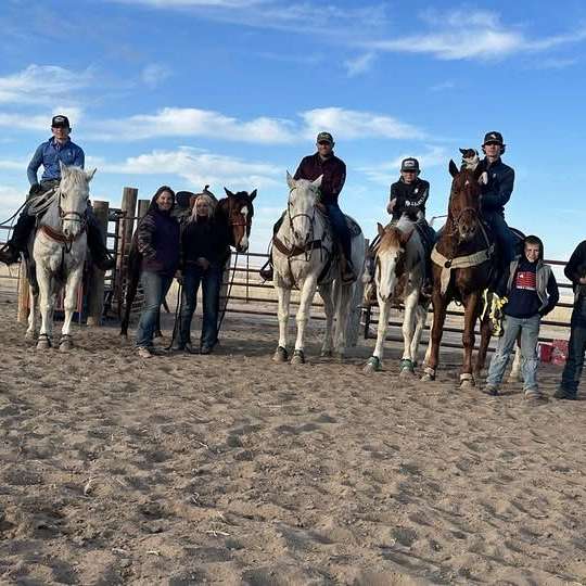 Lazy JFO Ponies and Horses 