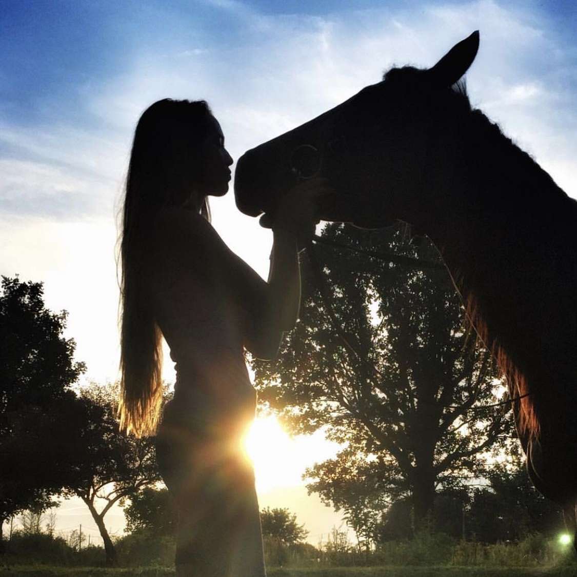 Shelby's Sunny Hearts Horse Training 