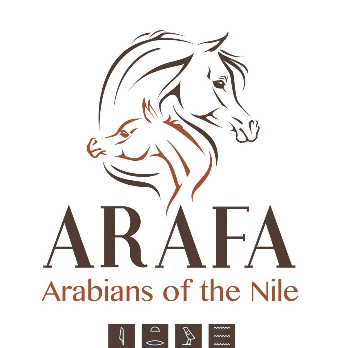 Arafa Arabians of the Nile