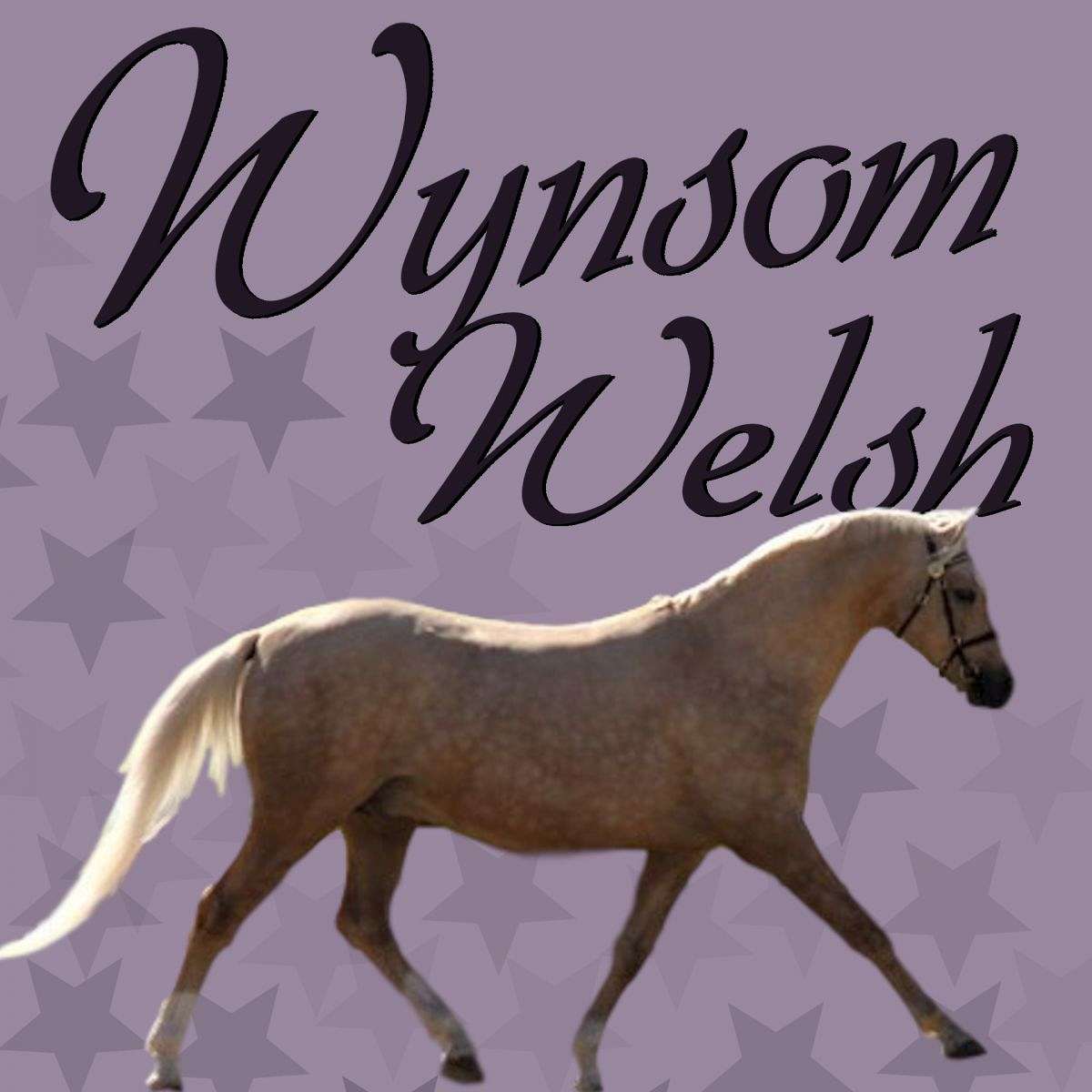Wynsom Welsh