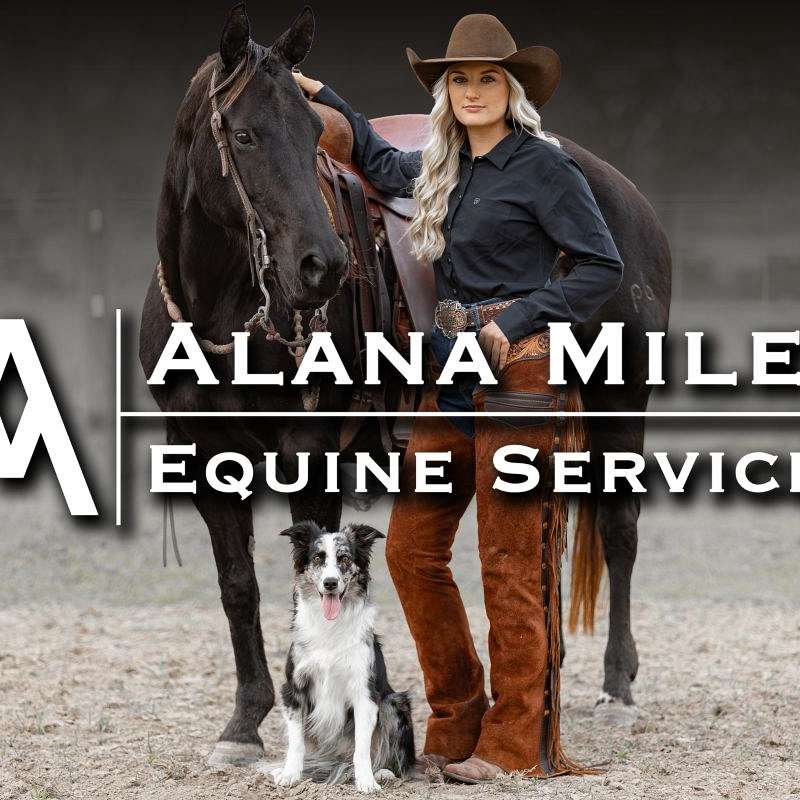 Alana Miles Equine Services